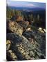 Lichen Covered on Boulders on Continental Divide, Wyoming, USA-Scott T. Smith-Mounted Photographic Print