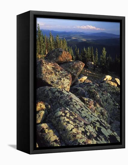 Lichen Covered on Boulders on Continental Divide, Wyoming, USA-Scott T. Smith-Framed Stretched Canvas