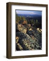 Lichen Covered on Boulders on Continental Divide, Wyoming, USA-Scott T. Smith-Framed Photographic Print