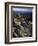 Lichen Covered on Boulders on Continental Divide, Wyoming, USA-Scott T. Smith-Framed Photographic Print