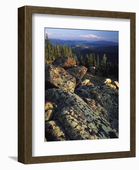 Lichen Covered on Boulders on Continental Divide, Wyoming, USA-Scott T. Smith-Framed Photographic Print