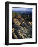 Lichen Covered on Boulders on Continental Divide, Wyoming, USA-Scott T. Smith-Framed Photographic Print