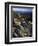 Lichen Covered on Boulders on Continental Divide, Wyoming, USA-Scott T. Smith-Framed Photographic Print