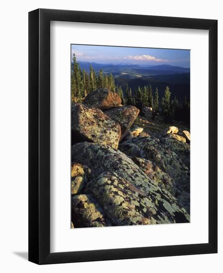 Lichen Covered on Boulders on Continental Divide, Wyoming, USA-Scott T. Smith-Framed Photographic Print