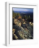 Lichen Covered on Boulders on Continental Divide, Wyoming, USA-Scott T. Smith-Framed Photographic Print