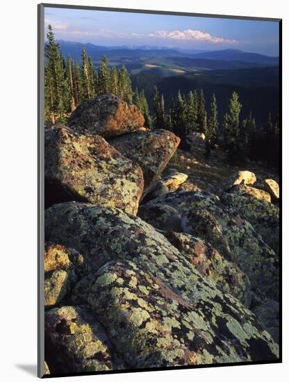 Lichen Covered on Boulders on Continental Divide, Wyoming, USA-Scott T. Smith-Mounted Photographic Print
