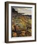 Lichen Covered Rocks, Shore at Greens Beach, Tasmania, Australia, Pacific-Jochen Schlenker-Framed Photographic Print