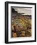 Lichen Covered Rocks, Shore at Greens Beach, Tasmania, Australia, Pacific-Jochen Schlenker-Framed Photographic Print