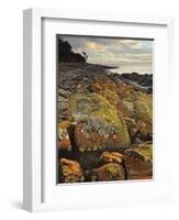 Lichen Covered Rocks, Shore at Greens Beach, Tasmania, Australia, Pacific-Jochen Schlenker-Framed Photographic Print