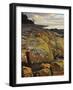 Lichen Covered Rocks, Shore at Greens Beach, Tasmania, Australia, Pacific-Jochen Schlenker-Framed Photographic Print