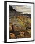 Lichen Covered Rocks, Shore at Greens Beach, Tasmania, Australia, Pacific-Jochen Schlenker-Framed Photographic Print