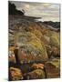Lichen Covered Rocks, Shore at Greens Beach, Tasmania, Australia, Pacific-Jochen Schlenker-Mounted Photographic Print