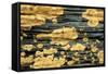 Lichen Golden Crustose Lichen on Fallen Treetrunk-null-Framed Stretched Canvas