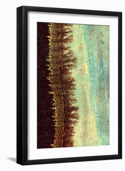 Lichen I-J^ McKenzie-Framed Art Print