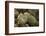 Lichen in beautiful shape-Paivi Vikstrom-Framed Photographic Print