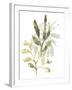 Lichen & Leaves IV-June Vess-Framed Art Print