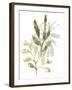 Lichen & Leaves IV-June Vess-Framed Art Print