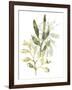 Lichen & Leaves IV-June Vess-Framed Art Print