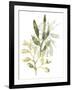 Lichen & Leaves IV-June Vess-Framed Art Print