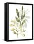 Lichen & Leaves IV-June Vess-Framed Stretched Canvas