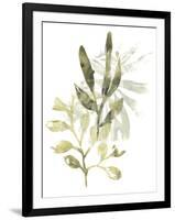 Lichen & Leaves IV-June Vess-Framed Art Print