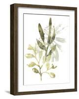 Lichen & Leaves IV-June Vess-Framed Art Print