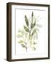 Lichen & Leaves IV-June Vess-Framed Art Print