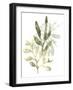 Lichen & Leaves IV-June Vess-Framed Art Print