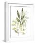 Lichen & Leaves IV-June Vess-Framed Art Print