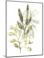Lichen & Leaves IV-June Vess-Mounted Art Print