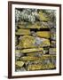 Lichen on Rocks, Broch of Mousa, Mousa Island, Shetland Island, Scotland, United Kingdom, Europe-Andrew Stewart-Framed Photographic Print