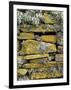 Lichen on Rocks, Broch of Mousa, Mousa Island, Shetland Island, Scotland, United Kingdom, Europe-Andrew Stewart-Framed Photographic Print