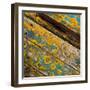 Lichen on Wood-Craig Roberts-Framed Photographic Print