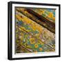 Lichen on Wood-Craig Roberts-Framed Photographic Print