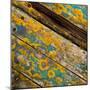 Lichen on Wood-Craig Roberts-Mounted Photographic Print