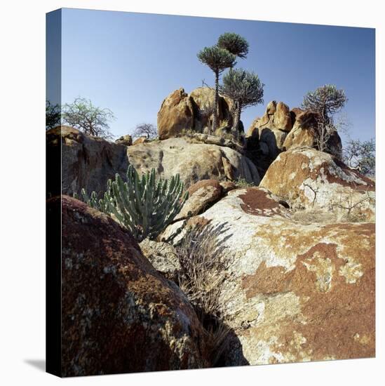 Lichen-Stained Boulders and Euphorbia Trees Add Form and Colour to Lake Eyasi's Impressive Western -Nigel Pavitt-Stretched Canvas