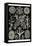 Lichens-Ernst Haeckel-Framed Stretched Canvas