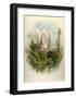 Lichfeild Cathedral, South West-Arthur Wilde Parsons-Framed Art Print