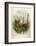 Lichfeild Cathedral, South West-Arthur Wilde Parsons-Framed Art Print