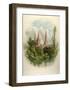 Lichfeild Cathedral, South West-Arthur Wilde Parsons-Framed Art Print