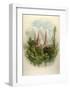 Lichfeild Cathedral, South West-Arthur Wilde Parsons-Framed Art Print