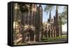 Lichfield Cathedral, West Spires and North Front, Lichfield, Staffordshire, England, United Kingdom-Nick Servian-Framed Stretched Canvas