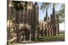 Lichfield Cathedral, West Spires and North Front, Lichfield, Staffordshire, England, United Kingdom-Nick Servian-Mounted Photographic Print