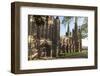 Lichfield Cathedral, West Spires and North Front, Lichfield, Staffordshire, England, United Kingdom-Nick Servian-Framed Photographic Print