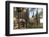 Lichfield Cathedral, West Spires and North Front, Lichfield, Staffordshire, England, United Kingdom-Nick Servian-Framed Photographic Print