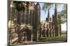 Lichfield Cathedral, West Spires and North Front, Lichfield, Staffordshire, England, United Kingdom-Nick Servian-Mounted Photographic Print