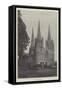 Lichfield Cathedral-null-Framed Stretched Canvas