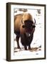 Licking like it Just Don't Matter-Jeff McGraw-Framed Photographic Print