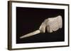 Licorne-null-Framed Giclee Print