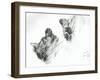 Liddle Kiddie, 1996, (ink on paper)-Vincent Alexander Booth-Framed Giclee Print